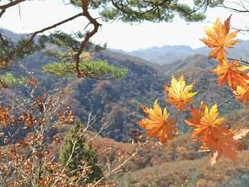 朝驱逐舰下水事故细节披露，金正恩称将立案审查|界面新闻 · 快讯